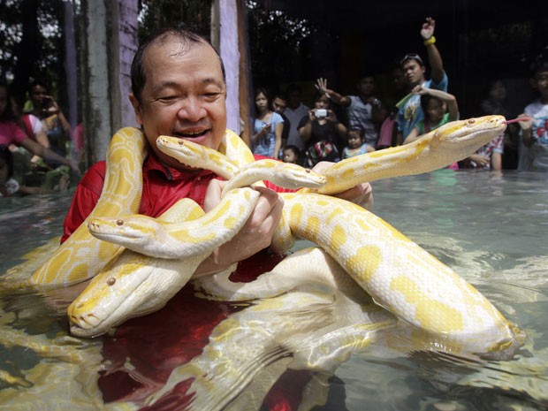 Tangco segura as cobras em uma piscina no zoológico (Foto: Erik De Castro/Reuters)