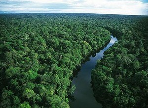 Amazônia (Foto: Reprodução Internet)
