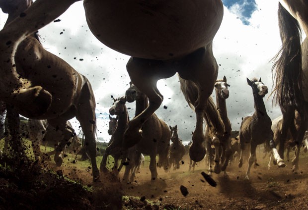 A força do cavalo crioulo é o tema desta foto de Chris Schmid. 'O crioulo é nativo do Uruguai, Argentina, Brasil e Paraguai. Possivelmente essa é a raça de cavalo com maior resistência, juntamente com o árabe', diz (Foto: Chris Schmid/National Geographic Traveler Photo Contest)