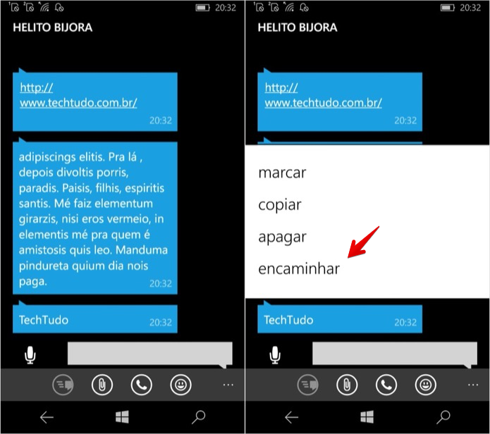 Encaminhando mensagens no WhatsApp para Windows Phone (Foto: Reprodução/Helito Bijora)