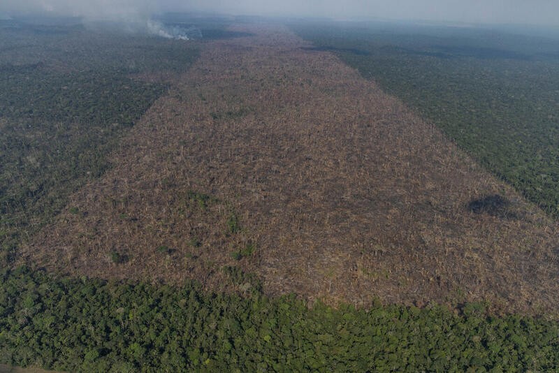 Vista aérea de um desmatamento na Amazônia para expansão pecuária, em Lábrea, Amazonas. (Foto: Victor Moriyama/Amazônia em Chamas)