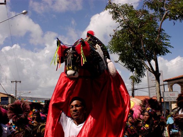 "Miolo do boi", brincante segura o maior personagem do folclore maranhense (Foto: Divulgação)