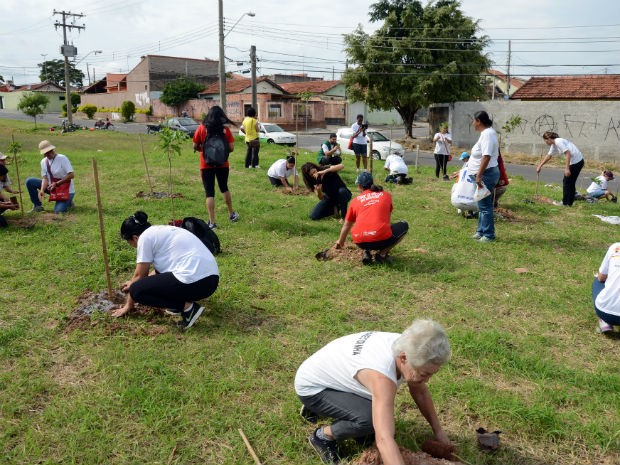 G1 Comunidade Da Região De Aparecidinha Planta 80 árvores Notícias Em Sorocaba Em Noticias 2218