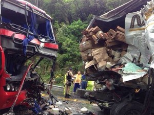 Motorista do ônibus morreu no local (Foto: Cristian de Los Santos/CBN Diário)