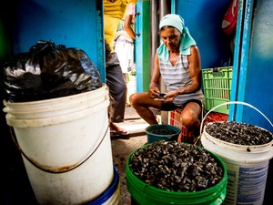 A catadora de sururu, Maria Cicera da Silva, faz diariamente o percurso entre Rio Largo e Maceió na locomotiva antiga (Foto: Jonathan Lins/G1)