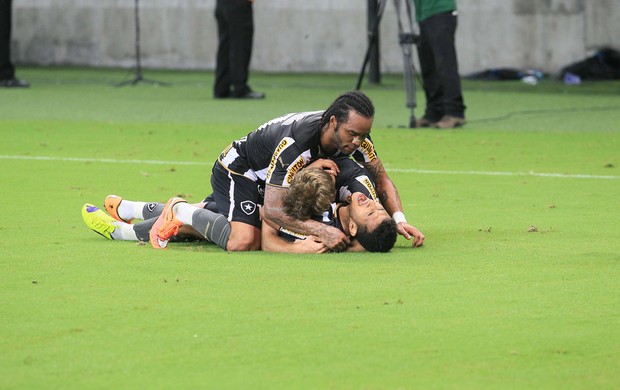 Rogério e Carlos Alberto, gol Botafogo (Foto: Danilo Mello / Ag. Estado)
