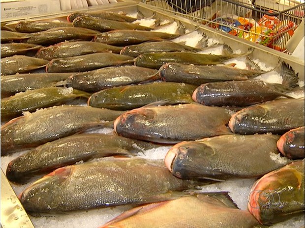 Chegada da Semana Santa aquece mercado de pescado em Palmas (Foto: Reprodução/TV Anhanguera)