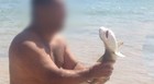 2 são multados em Noronha por atacar tubarões (Reprodução: Ana Clara Marinho)