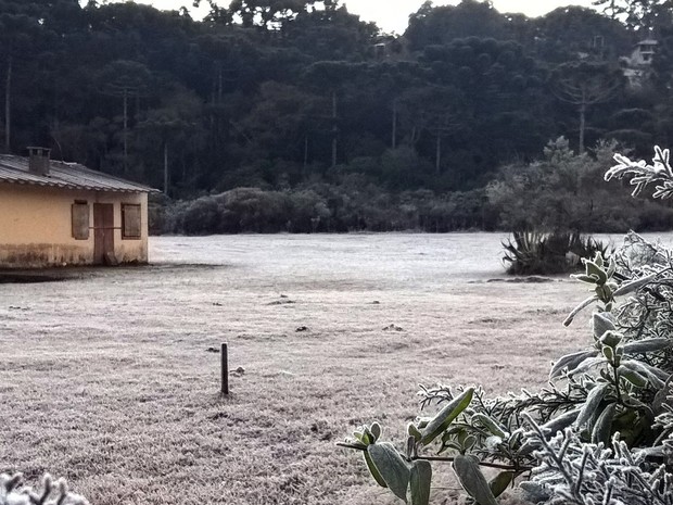 Temperatura voltou a ficar abaixo de 0°C nesta sexta-feira (8) em Monte Verde, MG; segundo o Inmet, termômetros marcaram -1,8°C na madrugada (Foto: Silvia Urias/Monte Verde)