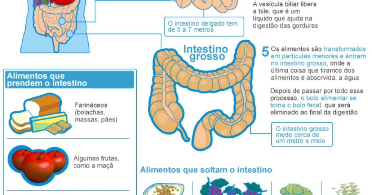 Bem Estar Sangue Nas Fezes Sinal De Alerta E Deve Ser Investigado