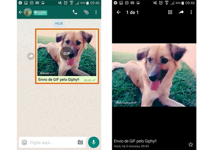 Visualize o GIF enviado pelo Giphy no WhatsApp (Foto: Reprodução/Barbara Mannara)