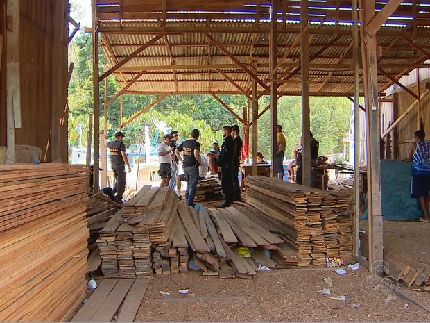 Operação da Polícia Federal apreendeu madeira ilegal em Macapá (Foto: Reprodução/Rede Amazônica)