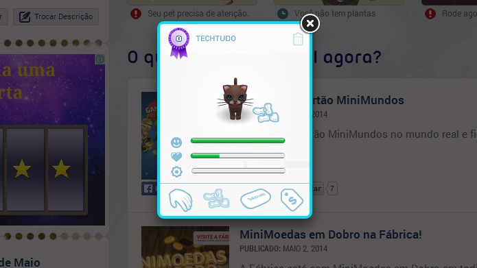 Minimundos: saiba como adotar e cuidar de um pet (Foto: Reprodução / Tais Carvalho)