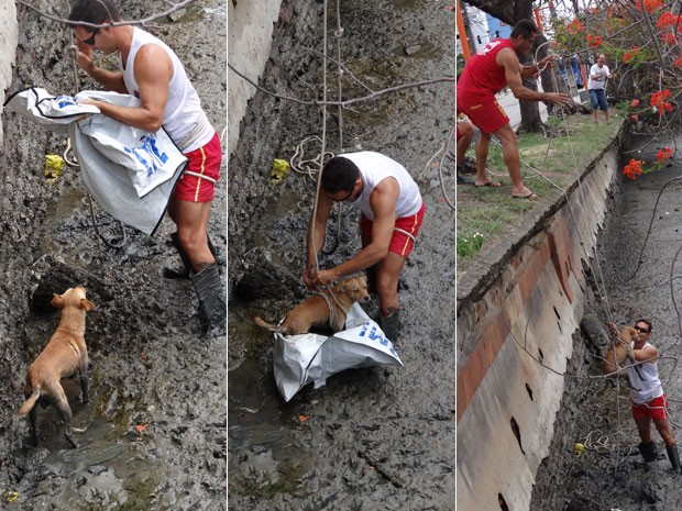 Bombeiro realiza trabalho de resgate de cachorro no Rio Capibaribe, no Recife (Foto: Priscila Miranda / G1)