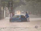 Chove o esperado para 20 dias em 1h40 em Campinas, diz Defesa Civil