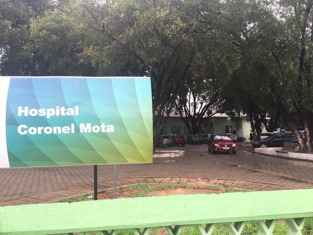 Ervas masculinas de uma potência