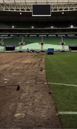 Gramado arena do Palmeiras (Foto: Divulgação)
