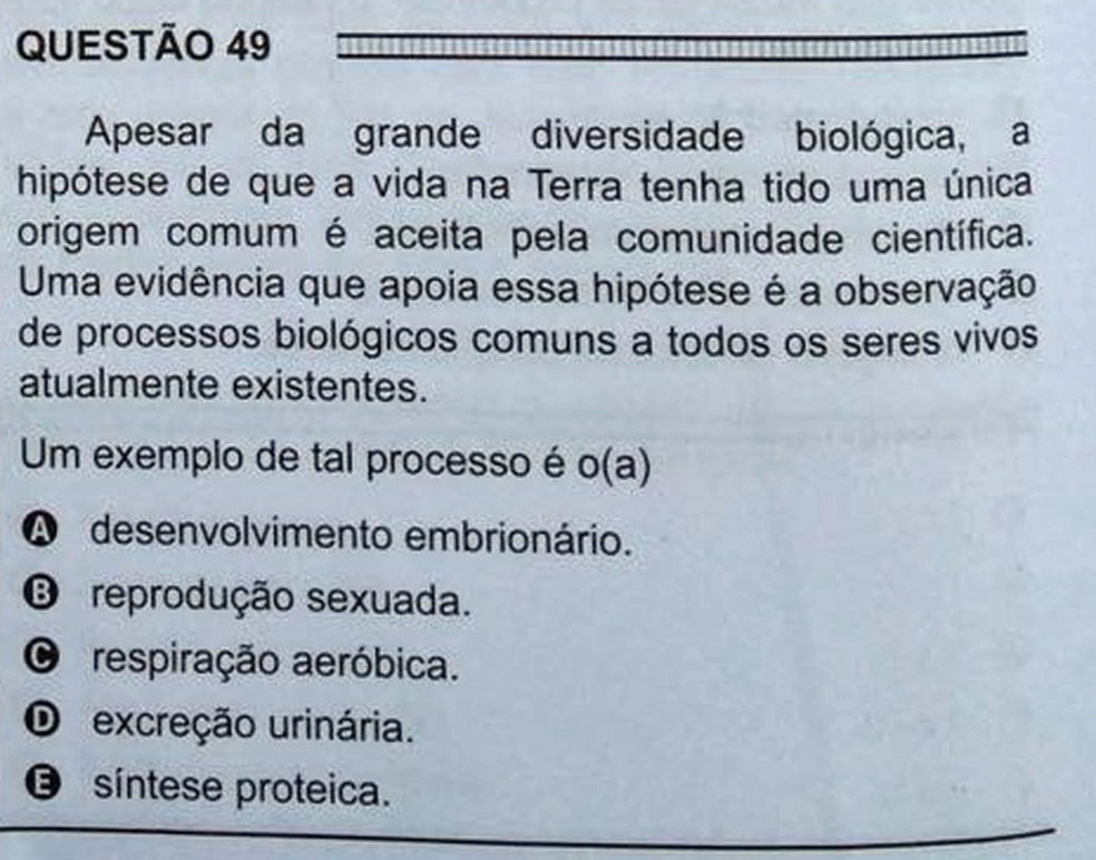 ENEM 2016 - 1º DIA - PROVA BRANCA - QUESTÃO 49 (Foto: G1 )