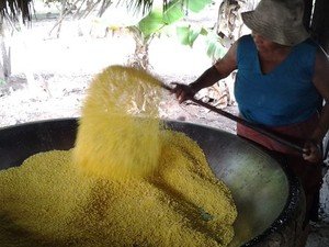 Por semana são produzidos 320 litros de farinha na comunidade da Taba Lascada (Foto: Emmily Melo/G1)