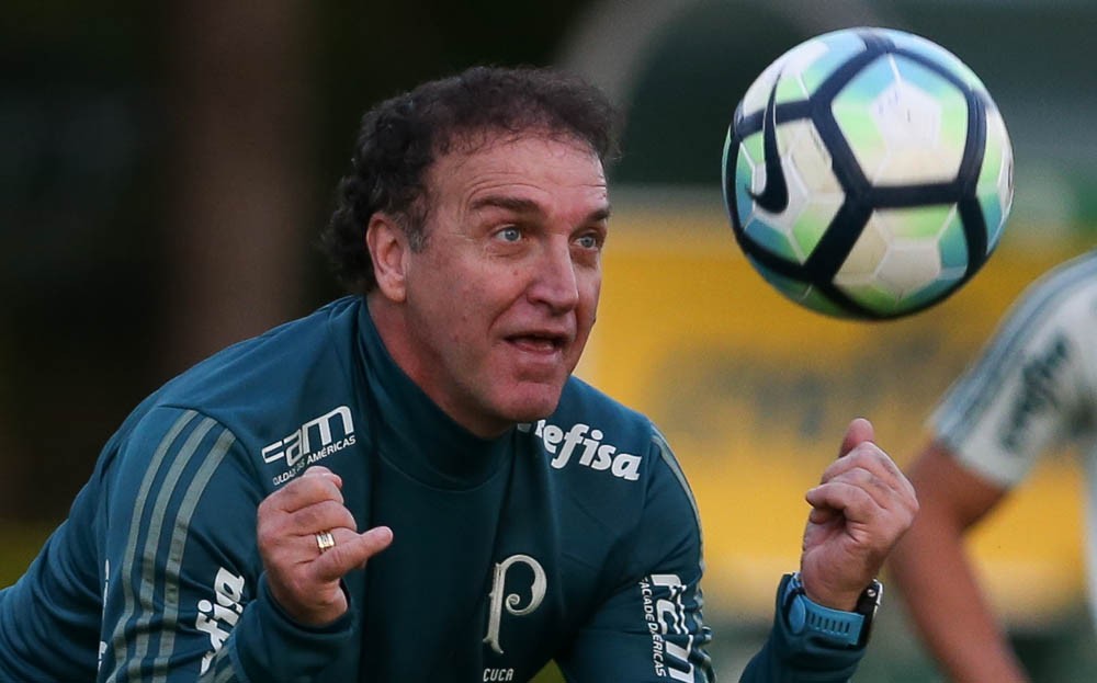 Vai embalar? Palmeiras terá reforços e mais identidade para sequência