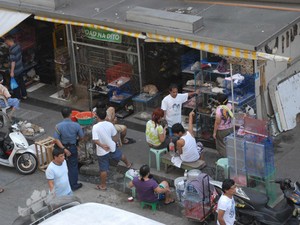 Animais so vendidos ilegalmente nas ruas de Manila, nas Filipinas (Foto: Sy Emerson/Divulgao)