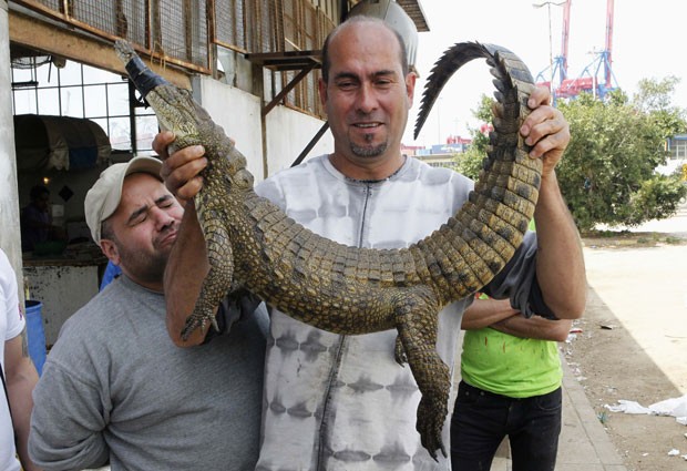 G Pescador Se Surpreende Ao Capturar Crocodilo Em Rio No L Bano