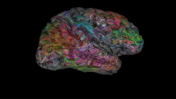 Estudo converteu dados de ressonâncias do cérebro em um mapa do tipo Thesaurus, que associa termos a conceitos, e palavras foram posicionadas nos lados esquerdo e direito do cérebro.  (Foto: Alexander Huth)