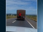 Homens viajam pendurados em caminhão na BR-060, em GO; vídeo