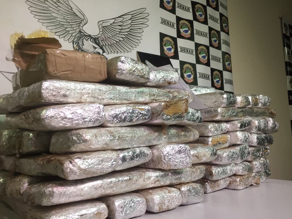 Apreens&atilde;o somou 53 kg, segundo a pol&iacute;cia (Foto: Dyego Queiroz/G1 MS)