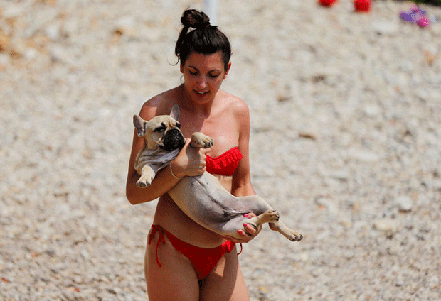 Croácia ganha praia e bar para cachorros (Foto: Antonio Bronic/Reuters)