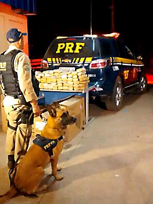 Droga apreendida pela PRF, policial e cão da corporação (Foto: Polícia Rodoviária Federal/Divulgação) Droga apreendida pela PRF, policial e cão da corporação (Foto: Polícia Rodoviária Federal/Divulgação)