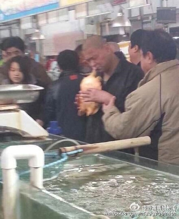Chinês levou mordida no lábio ao tentar comer tartaruga viva (Foto: Reprodução/Weibo)