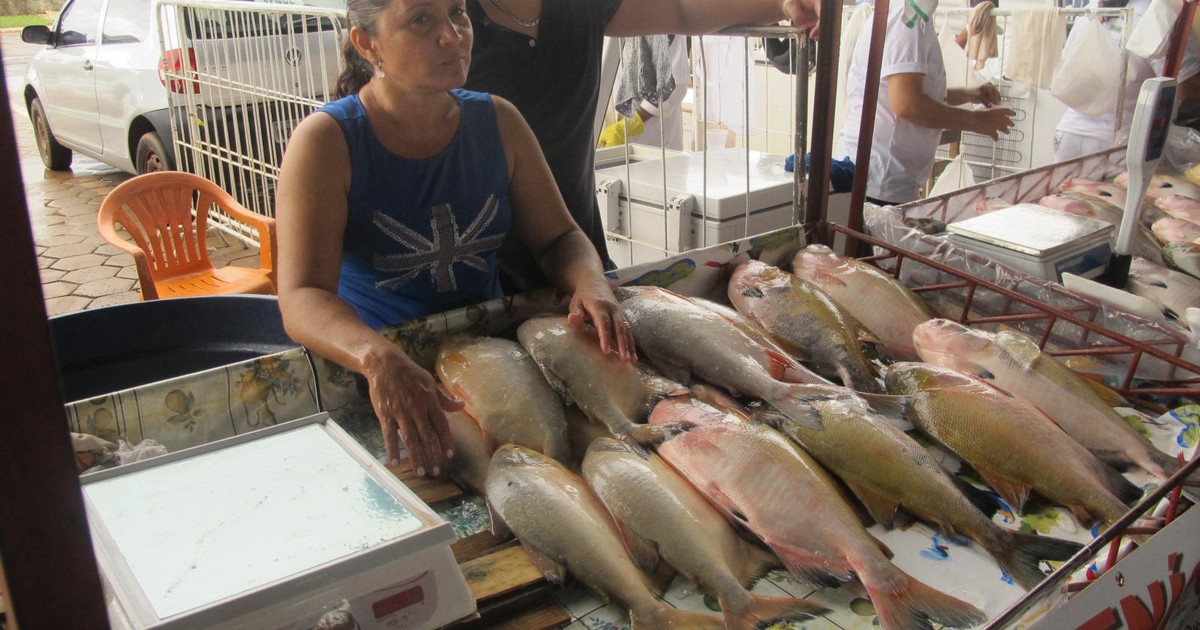 G1 Varejão oferece pescado preço abaixo do mercado em Belém