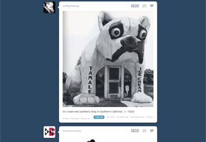 Tumblr é um serviço onde permite onde usuários criem blogs usando imagens (Foto: Divulgação) Tumblr é um serviço onde permite onde usuários criem blogs usando imagens (Foto: Divulgação)