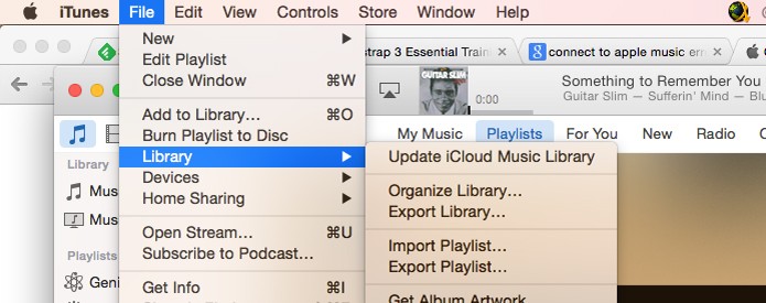Dê um update no iCloud Music Library e suas músicas estarão disponíveis no Apple Music (Foto: Reprodução/André Sugai)