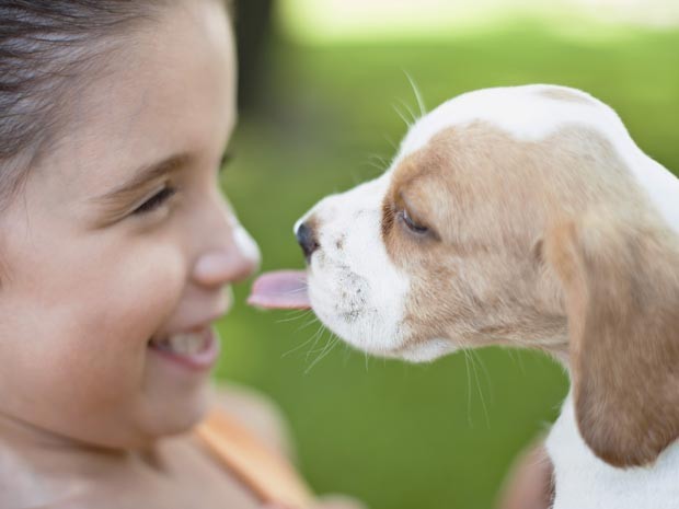 Cães fortalecem sistema imunológico de crianças, diz estudo (Foto: Odilon Dimier/Altopress/AFP)