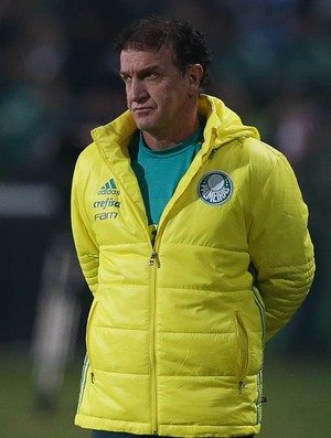 Ponto somado pelo Palmeiras é valorizado