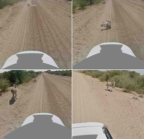 Apos Polemica Google Diz Que Carro Do Street View Nao Atropelou Burro Tecnologia E Games G1