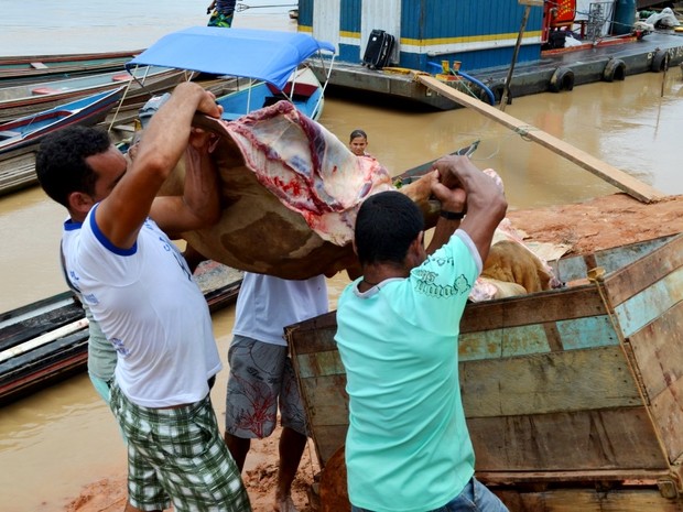 Carne bovina vendida em Porto Walter  levada aos aougues em carroas (Foto: Genival Moura/G1)