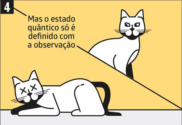 O que é o Gato de Schrödinger?