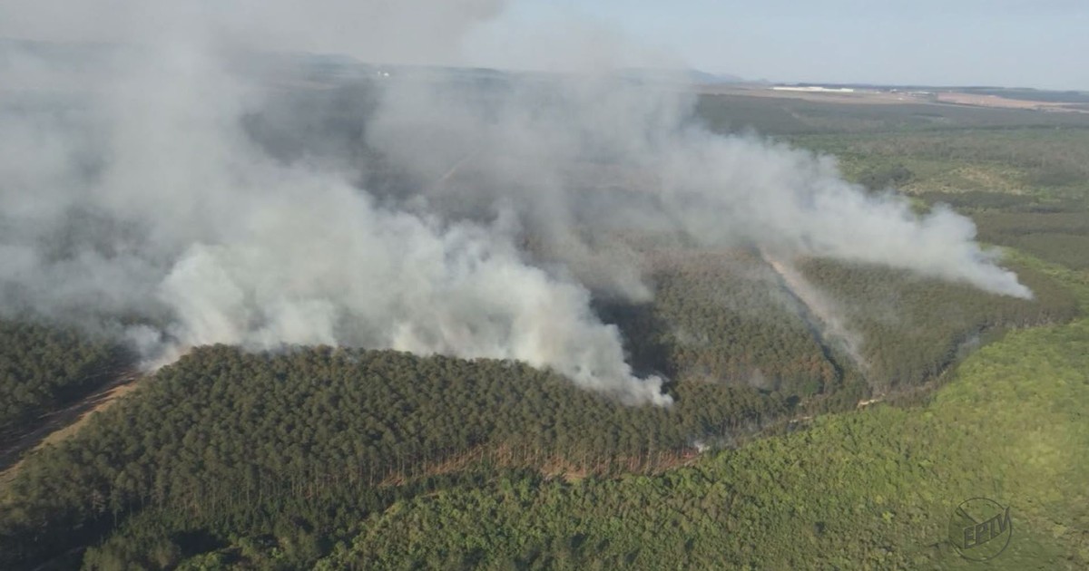 Incêndio atinge área florestal ocupada por integrantes da FNL em ... - Globo.com