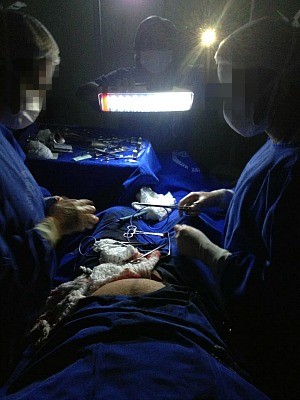Cirurgia cesárea foi finalizada com apoio de lâmpadas de emergência (Foto: Arquivo Pessoal)
