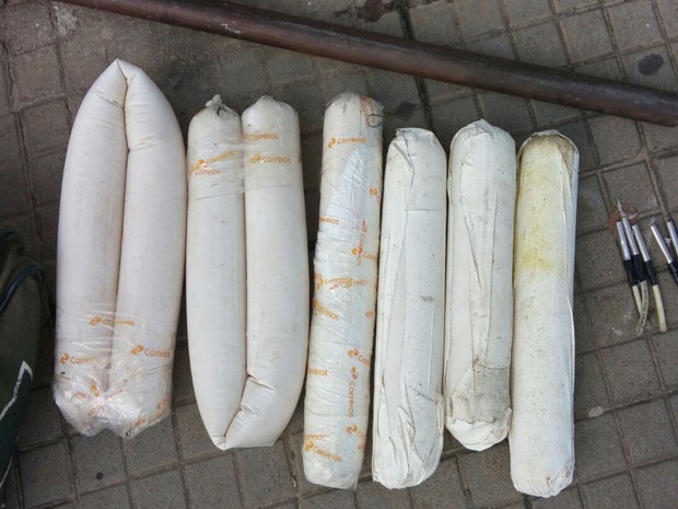 Bananas de dinamite foram deixadas pelos bandidos (Foto: Divulgação / Polícia Militar)