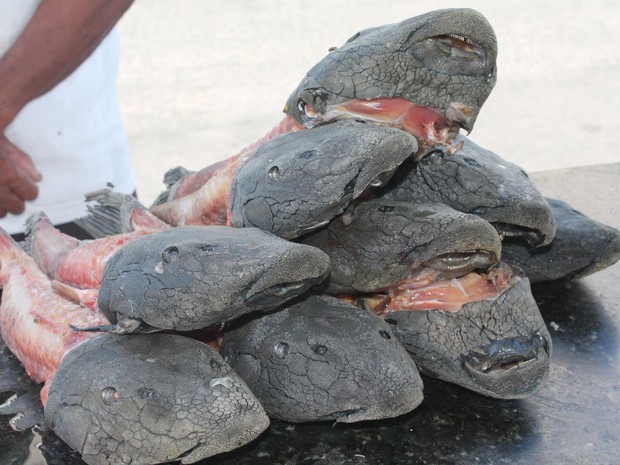 Caris comercializados na Praça do Peixe em Petrolina-PE (Foto: Henrique Almeida/GloboEsporte.com)