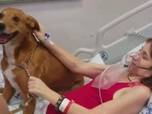 Mulher reencontra cão em hospital RS  (Foto: Reprodução/RBS TV)