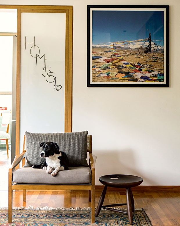 apartamento-dt-estudio-canto-de-leitura-poltrona-cachorro-fotografia (Foto: Edu Castello/Editora Globo)