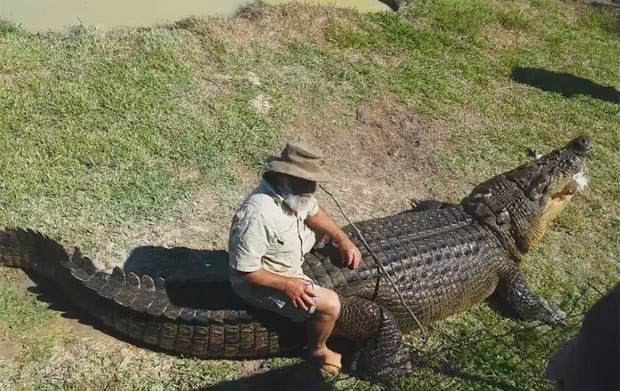 Rob Bredl chega a sentar nas costas do enorme crocodilo (Foto: Reprodução/YouTube/ViralHog)