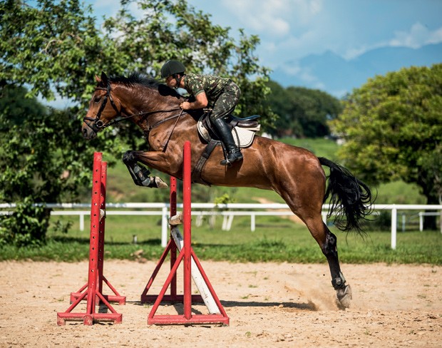 Show de sela pulando obstáculos a cavalo Equitação Saltar loja de