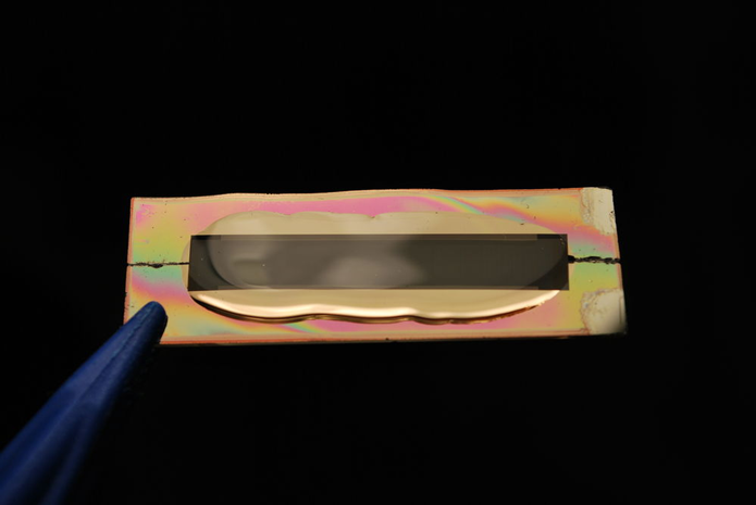 Bateria com fios de ouro e gel permite sobrevida bastante superior (Foto: DivulgaÃ§Ã£o/UC Irvine)