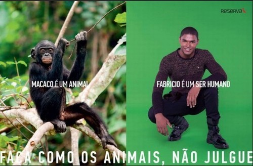 Campanha De Macacos Fofos Para Amar Seu Animal De Estimação